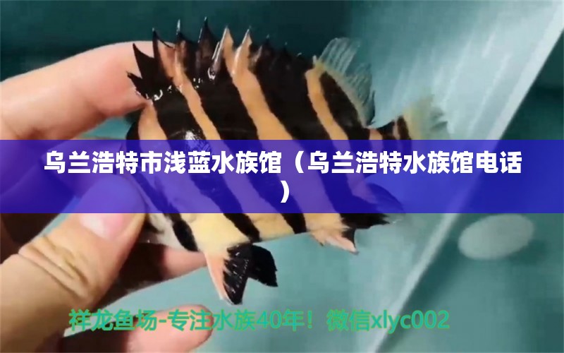 乌兰浩特市浅蓝水族馆（乌兰浩特水族馆电话）