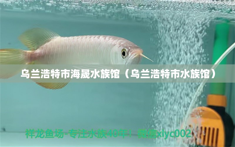 乌兰浩特市海晟水族馆（乌兰浩特市水族馆） 全国观赏鱼市场 第2张