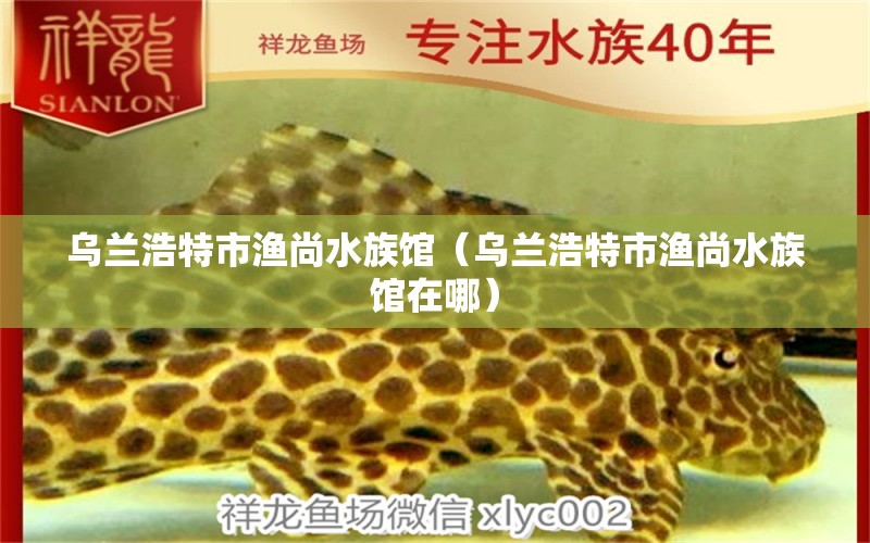 乌兰浩特市渔尚水族馆（乌兰浩特市渔尚水族馆在哪）