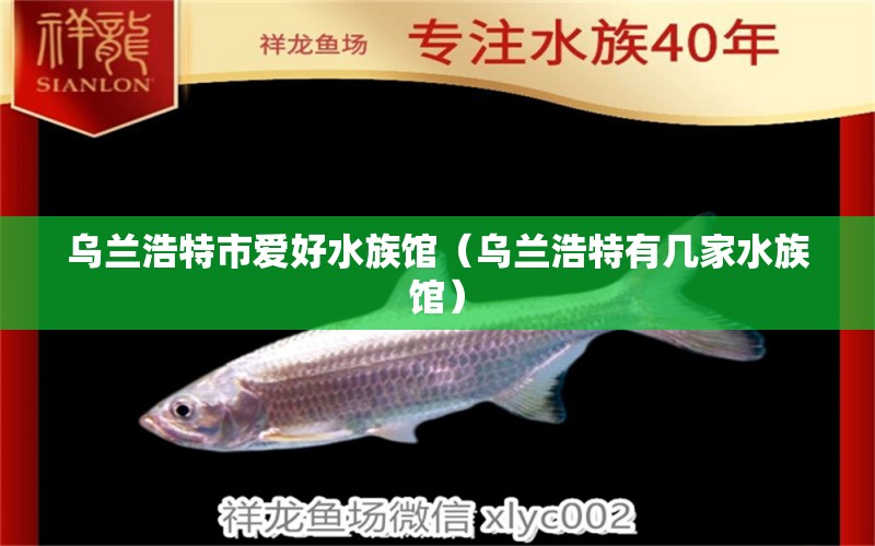 乌兰浩特市爱好水族馆（乌兰浩特有几家水族馆） 全国水族馆企业名录