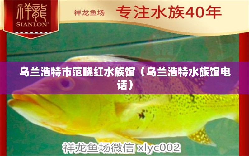 乌兰浩特市范晓红水族馆（乌兰浩特水族馆电话） 全国水族馆企业名录