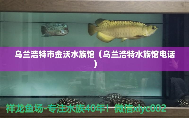 乌兰浩特市金沃水族馆（乌兰浩特水族馆电话）