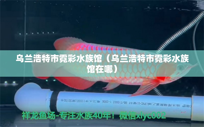 乌兰浩特市霓彩水族馆（乌兰浩特市霓彩水族馆在哪）