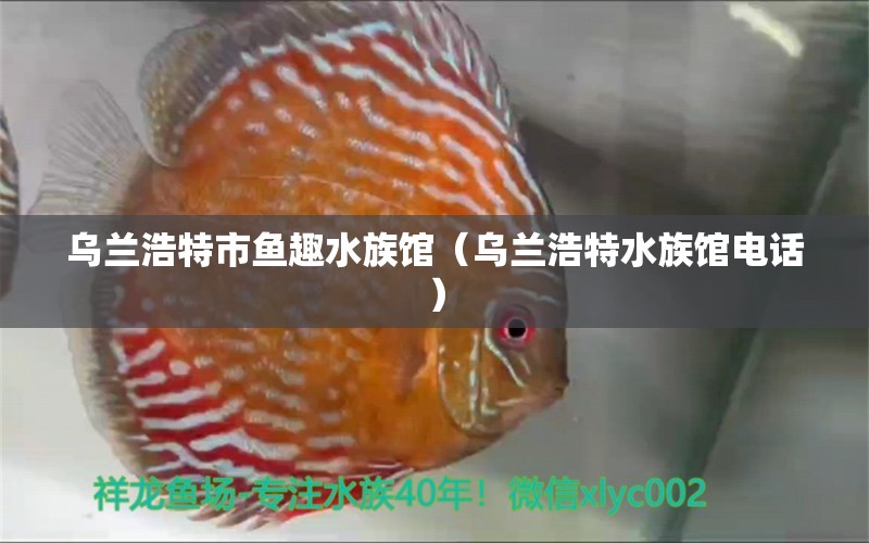 乌兰浩特市鱼趣水族馆（乌兰浩特水族馆电话） 全国水族馆企业名录