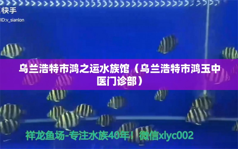 乌兰浩特市鸿之运水族馆（乌兰浩特市鸿玉中医门诊部） 全国水族馆企业名录