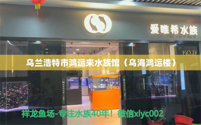 乌兰浩特市鸿运来水族馆（乌海鸿运楼） 全国水族馆企业名录