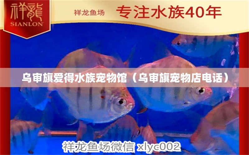 乌审旗爱得水族宠物馆（乌审旗宠物店电话）