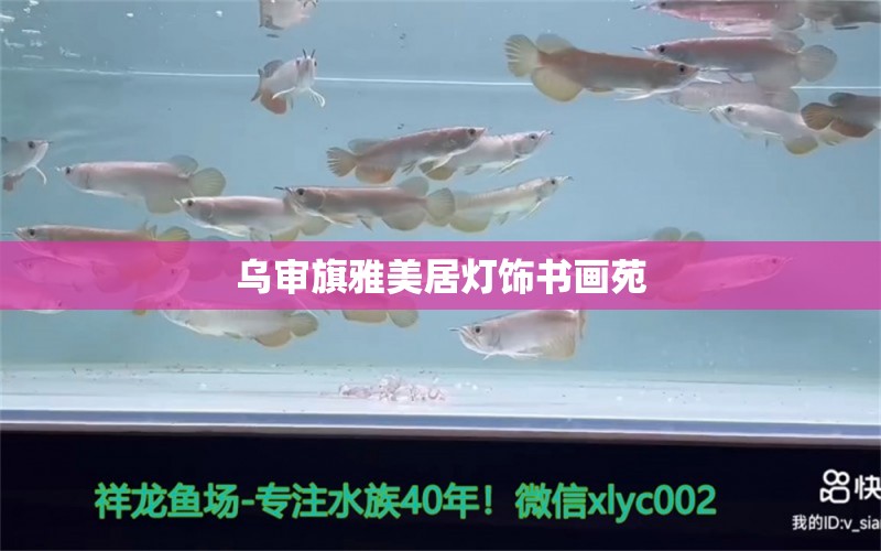 乌审旗雅美居灯饰书画苑 全国水族馆企业名录 第1张