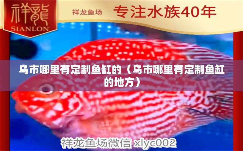 乌市哪里有定制鱼缸的（乌市哪里有定制鱼缸的地方） 祥龙水族医院