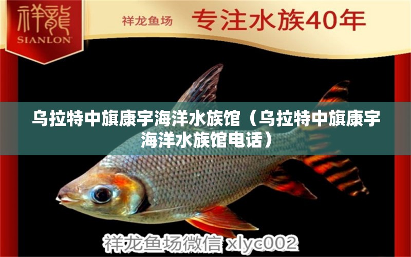 乌拉特中旗康宇海洋水族馆（乌拉特中旗康宇海洋水族馆电话） 全国水族馆企业名录