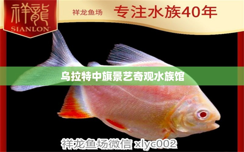 乌拉特中旗景艺奇观水族馆 全国水族馆企业名录