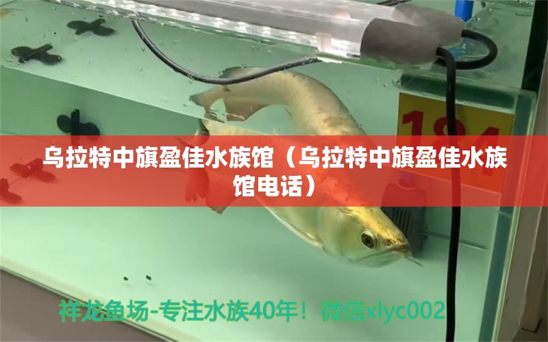 乌拉特中旗盈佳水族馆（乌拉特中旗盈佳水族馆电话） 全国水族馆企业名录