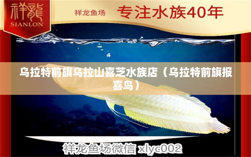 乌拉特前旗乌拉山喜芝水族店（乌拉特前旗报喜鸟） 全国水族馆企业名录