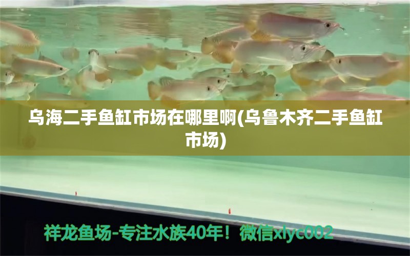 乌海二手鱼缸市场在哪里啊(乌鲁木齐二手鱼缸市场) 广州水族器材滤材批发市场