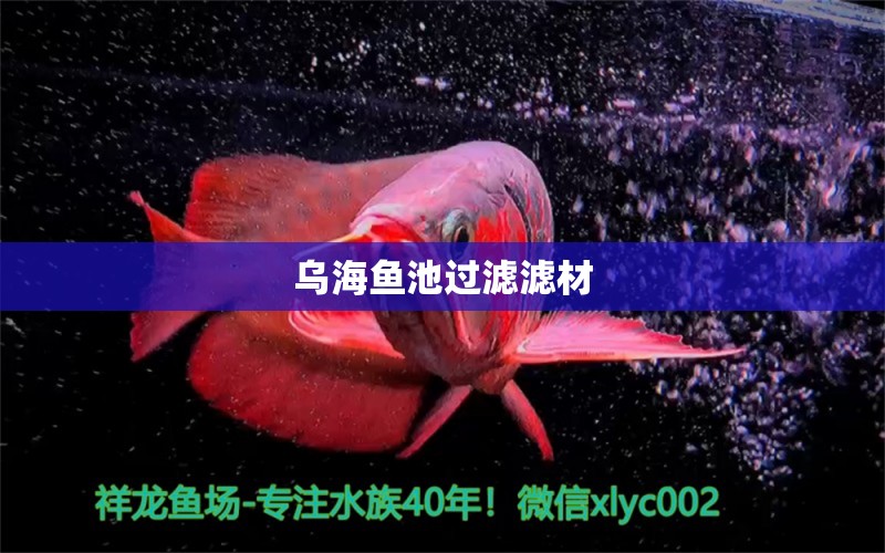 乌海鱼池过滤滤材 广州水族器材滤材批发市场