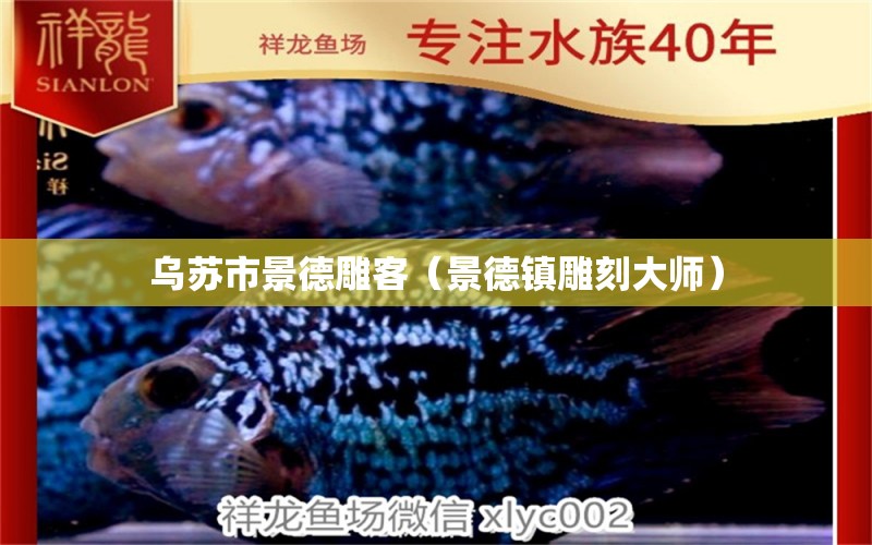 乌苏市景德雕客（景德镇雕刻大师） 全国水族馆企业名录