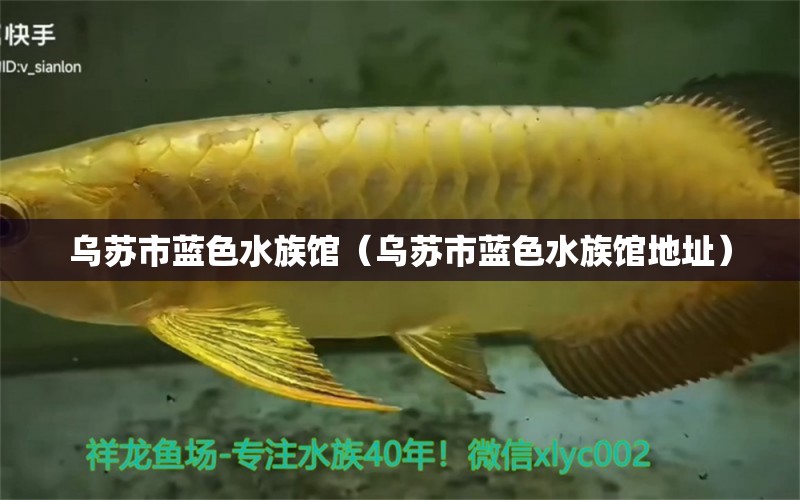 乌苏市蓝色水族馆（乌苏市蓝色水族馆地址） 全国水族馆企业名录