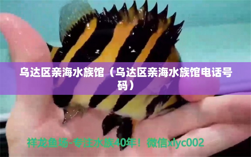 乌达区亲海水族馆（乌达区亲海水族馆电话号码）