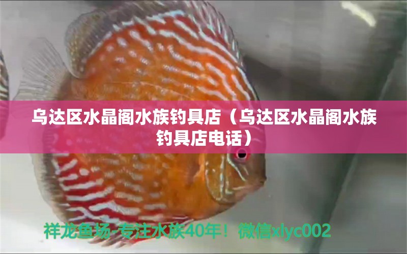 乌达区水晶阁水族钓具店（乌达区水晶阁水族钓具店电话）