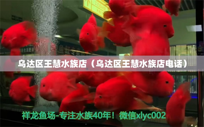 乌达区王慧水族店（乌达区王慧水族店电话） 全国水族馆企业名录