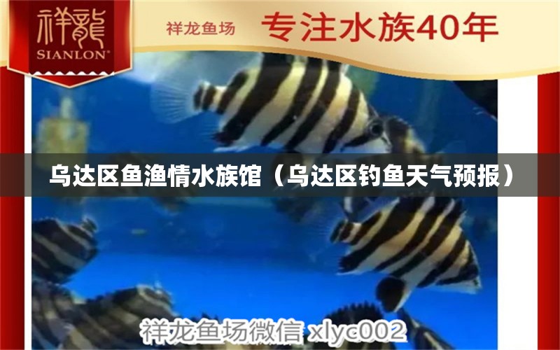 乌达区鱼渔情水族馆（乌达区钓鱼天气预报）