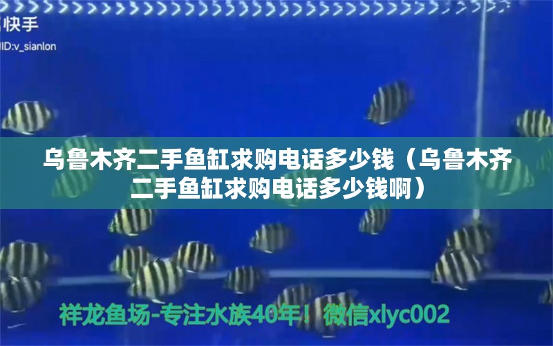 乌鲁木齐二手鱼缸求购电话多少钱（乌鲁木齐二手鱼缸求购电话多少钱啊）