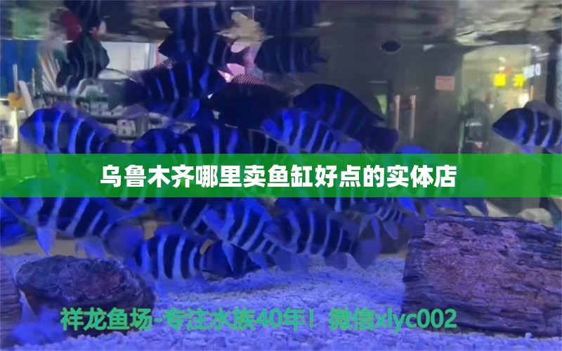 乌鲁木齐哪里卖鱼缸好点的实体店  广州水族批发市场