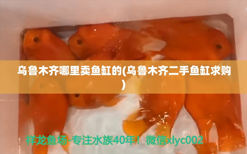 乌鲁木齐哪里卖鱼缸的(乌鲁木齐二手鱼缸求购)