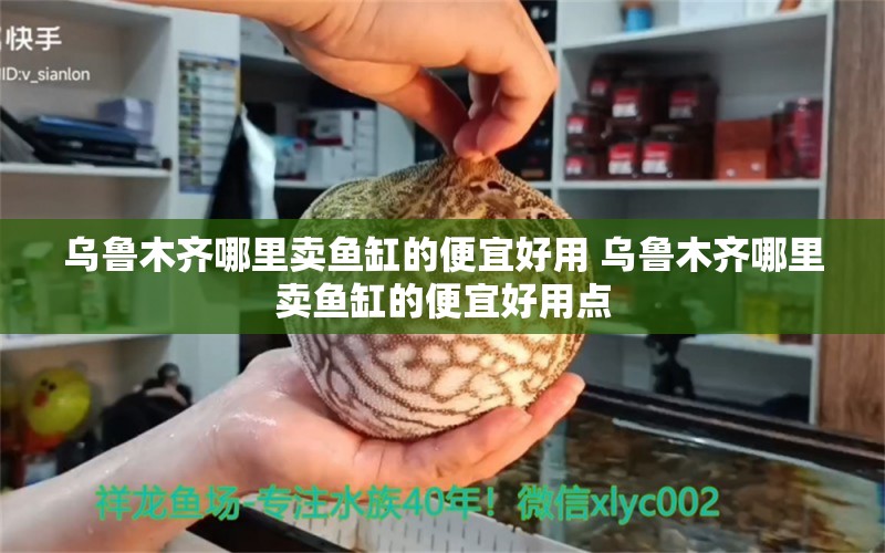 乌鲁木齐哪里卖鱼缸的便宜好用 乌鲁木齐哪里卖鱼缸的便宜好用点