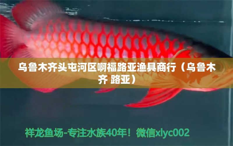 乌鲁木齐头屯河区啊福路亚渔具商行（乌鲁木齐 路亚） 全国水族馆企业名录