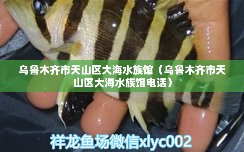 乌鲁木齐市天山区大海水族馆（乌鲁木齐市天山区大海水族馆电话）