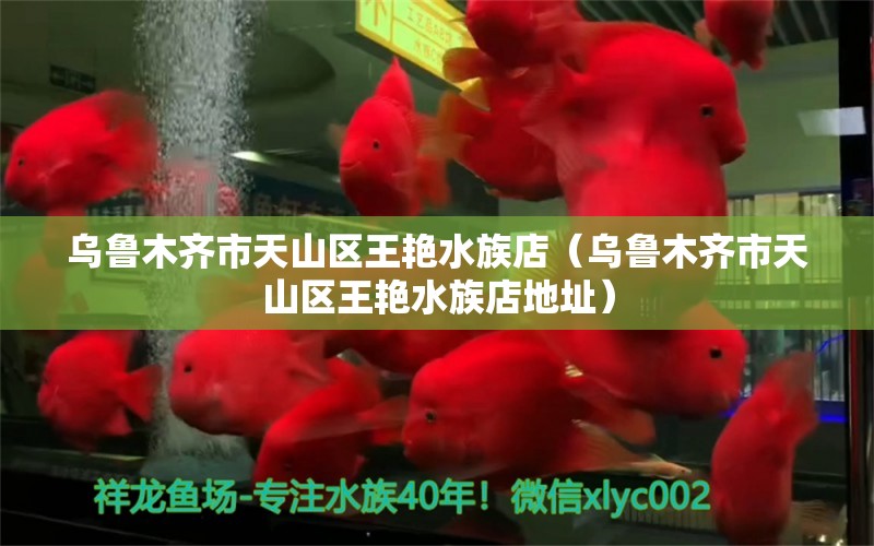 乌鲁木齐市天山区王艳水族店（乌鲁木齐市天山区王艳水族店地址）