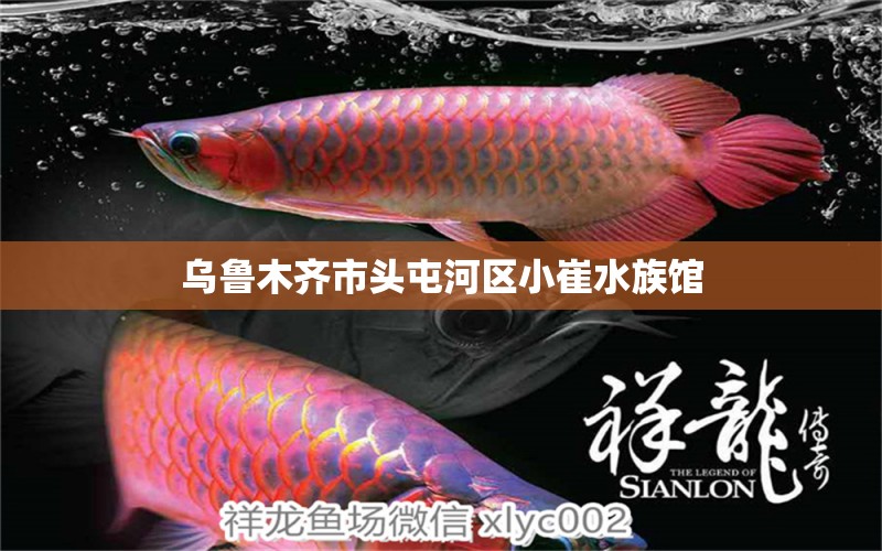 乌鲁木齐市头屯河区小崔水族馆 全国水族馆企业名录