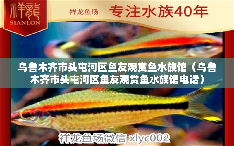 乌鲁木齐市头屯河区鱼友观赏鱼水族馆（乌鲁木齐市头屯河区鱼友观赏鱼水族馆电话）