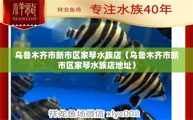 乌鲁木齐市新市区家琴水族店（乌鲁木齐市新市区家琴水族店地址） 全国水族馆企业名录