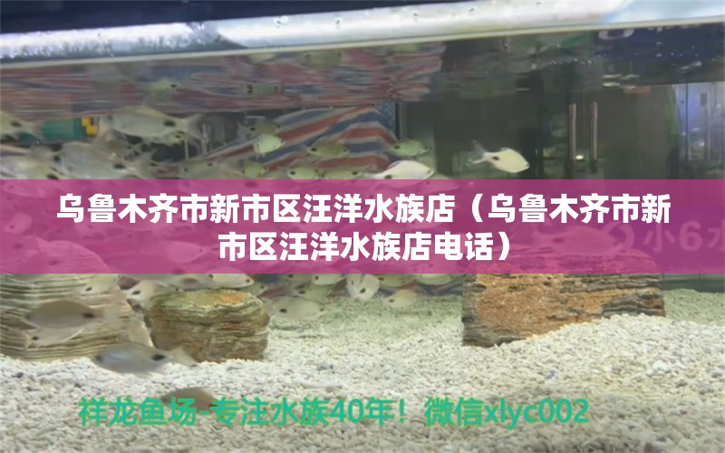 乌鲁木齐市新市区汪洋水族店（乌鲁木齐市新市区汪洋水族店电话）