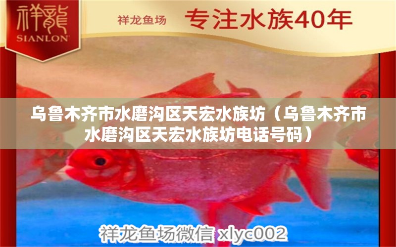 乌鲁木齐市水磨沟区天宏水族坊（乌鲁木齐市水磨沟区天宏水族坊电话号码）