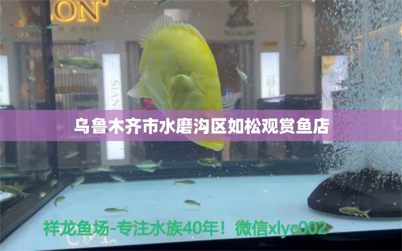 乌鲁木齐市水磨沟区如松观赏鱼店 全国水族馆企业名录