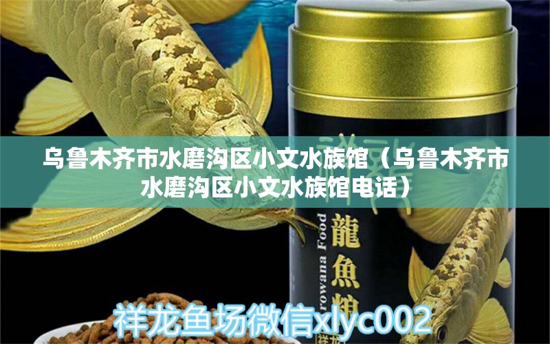 乌鲁木齐市水磨沟区小文水族馆（乌鲁木齐市水磨沟区小文水族馆电话）