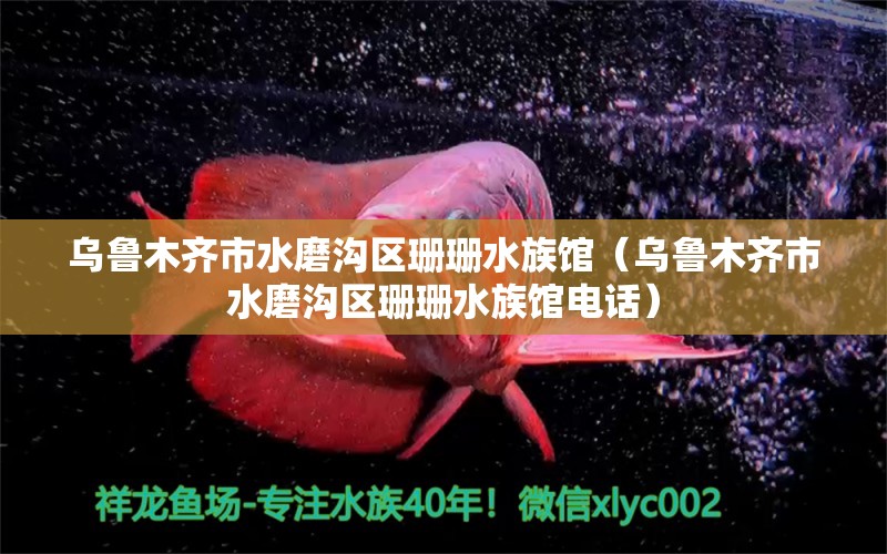 乌鲁木齐市水磨沟区珊珊水族馆（乌鲁木齐市水磨沟区珊珊水族馆电话）