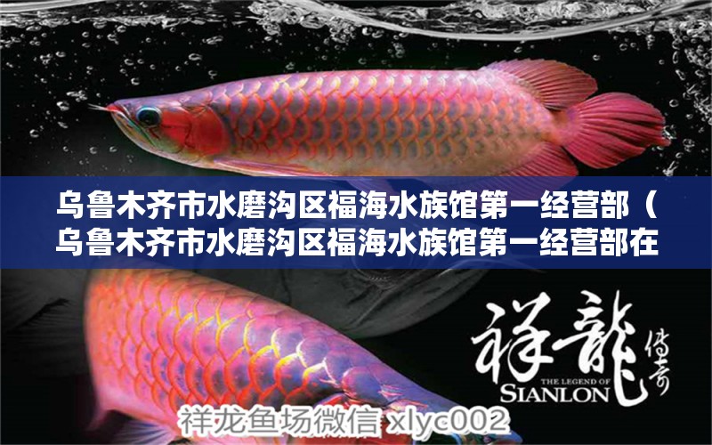 乌鲁木齐市水磨沟区福海水族馆第一经营部（乌鲁木齐市水磨沟区福海水族馆第一经营部在哪里） 全国水族馆企业名录