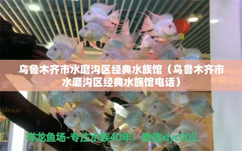 乌鲁木齐市水磨沟区经典水族馆（乌鲁木齐市水磨沟区经典水族馆电话）