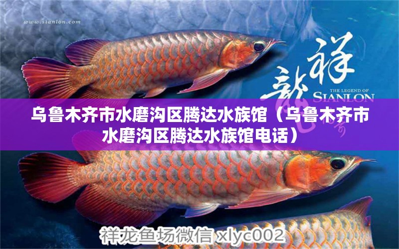 乌鲁木齐市水磨沟区腾达水族馆（乌鲁木齐市水磨沟区腾达水族馆电话）