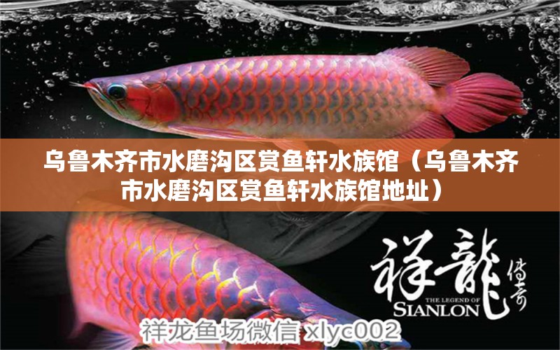 乌鲁木齐市水磨沟区赏鱼轩水族馆（乌鲁木齐市水磨沟区赏鱼轩水族馆地址）