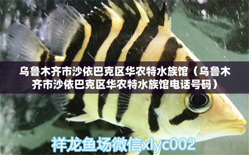 乌鲁木齐市沙依巴克区华农特水族馆（乌鲁木齐市沙依巴克区华农特水族馆电话号码） 全国水族馆企业名录