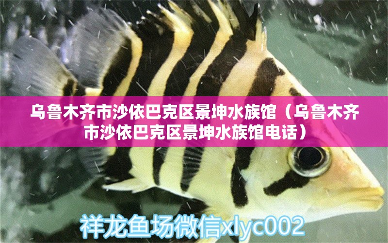 乌鲁木齐市沙依巴克区景坤水族馆（乌鲁木齐市沙依巴克区景坤水族馆电话）