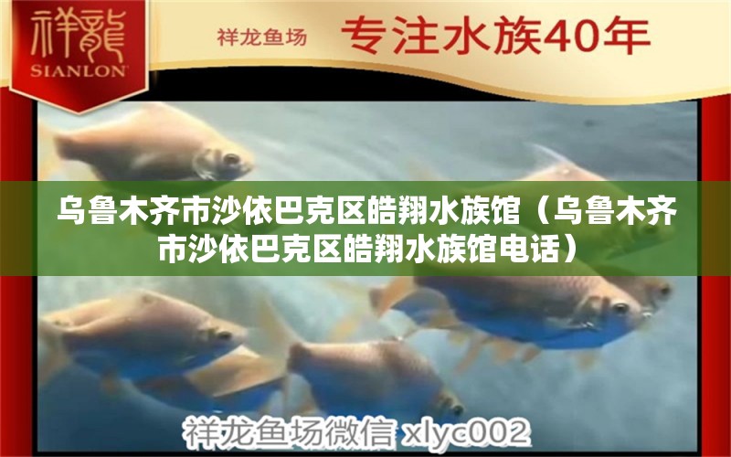 乌鲁木齐市沙依巴克区皓翔水族馆（乌鲁木齐市沙依巴克区皓翔水族馆电话）