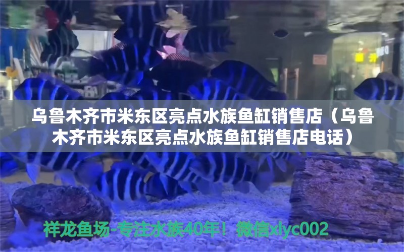 乌鲁木齐市米东区亮点水族鱼缸销售店（乌鲁木齐市米东区亮点水族鱼缸销售店电话） 全国水族馆企业名录