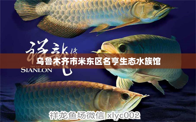 乌鲁木齐市米东区名亨生态水族馆