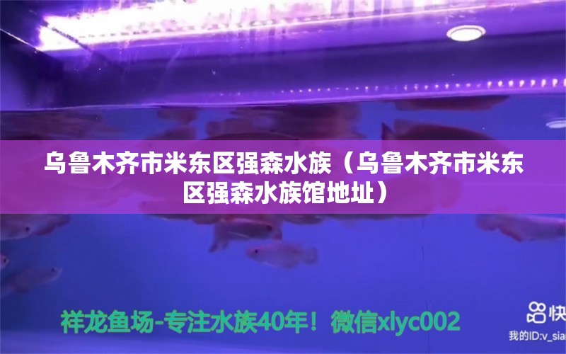 乌鲁木齐市米东区强森水族（乌鲁木齐市米东区强森水族馆地址） 全国水族馆企业名录